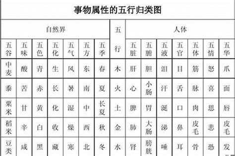 劭五行|劭字的五行属性